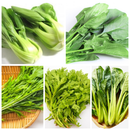 その日に厳選！葉物3種　パワー野菜セット