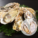 真牡蠣（マルえもんM）