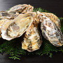 真牡蠣（広田湾M)