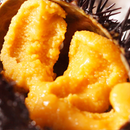 無添加生うに 木箱入り 100g A級品