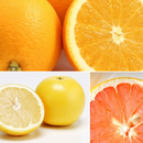 輸入フルーツセット