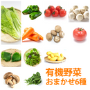 有機野菜お任せ6種セット