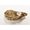 真牡蠣（マルえもんM）