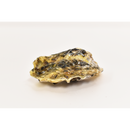 真牡蠣（みるくがき)