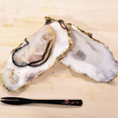 真牡蠣（広田湾M)