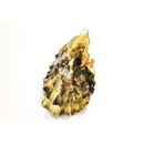 真牡蠣（みるくがき)