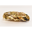 真牡蠣（広田湾M)