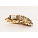 真牡蠣（マルえもんM）