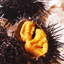 無添加生うに 木箱入り 100g A級品