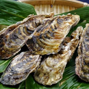 真牡蠣（坂越かき)