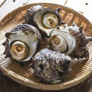 活サザエ（殻付き）
