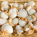 ベビーほたて貝（ボイル済）