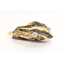 真牡蠣（坂越かき)