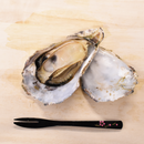 真牡蠣（坂越かき)
