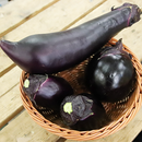 茄子食べ比べセット