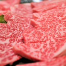 厳選黒毛和牛 焼肉用（肩肉）