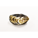 真牡蠣（江戸前オイスター)