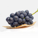 ナガノパープル