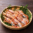 ぼたん海老(生食用・冷凍)