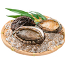 活アワビ（殻付き）
